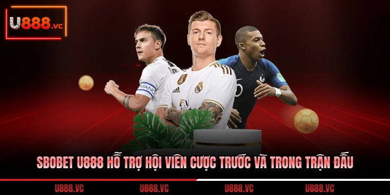 sbobet-u888-ho-tro-hoi-vien-cuoc-truoc-va-trong-tran-dau